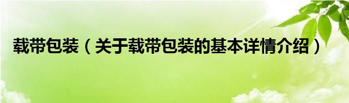 载带包装（关于载带包装的基本详情介绍）