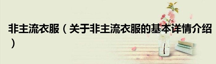 非主流衣服（关于非主流衣服的基本详情介绍）