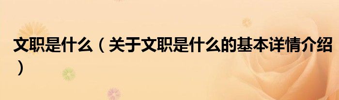 文职是什么（关于文职是什么的基本详情介绍）