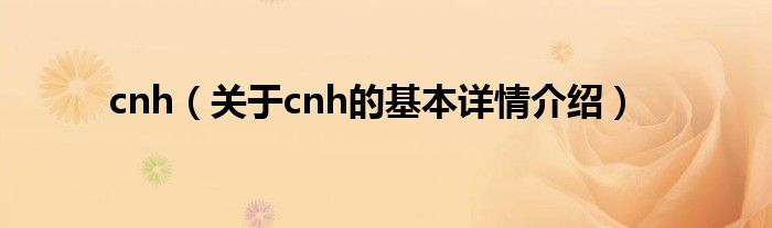 cnh（关于cnh的基本详情介绍）