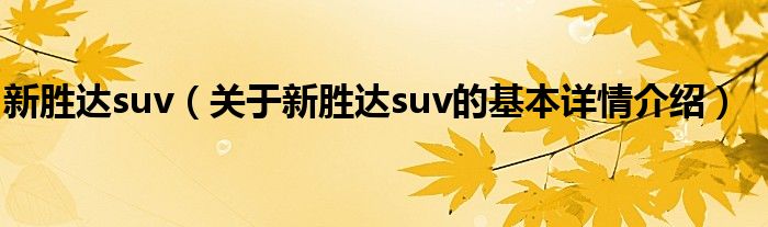 新胜达suv（关于新胜达suv的基本详情介绍）