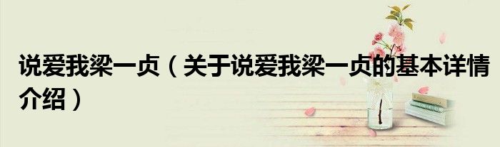 说爱我梁一贞（关于说爱我梁一贞的基本详情介绍）