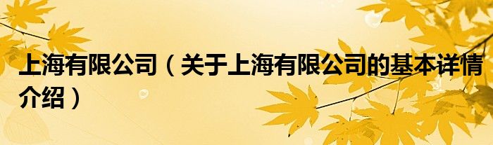 上海有限公司（关于上海有限公司的基本详情介绍）