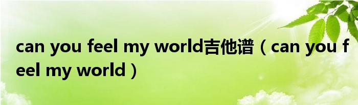 can you feel my world吉他谱（can you feel my world）