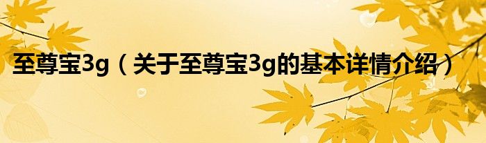 至尊宝3g（关于至尊宝3g的基本详情介绍）