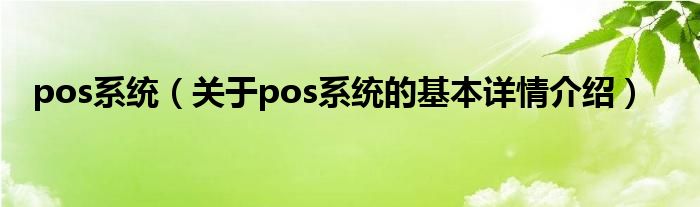 pos系统（关于pos系统的基本详情介绍）