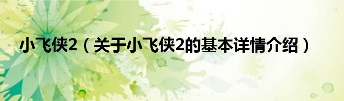 小飞侠2（关于小飞侠2的基本详情介绍）