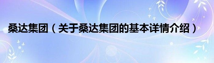 桑达集团（关于桑达集团的基本详情介绍）