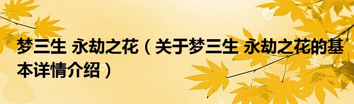 梦三生 永劫之花（关于梦三生 永劫之花的基本详情介绍）