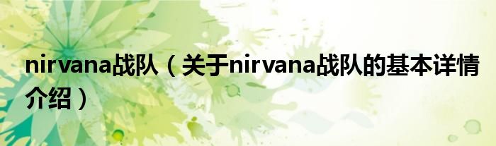 nirvana战队（关于nirvana战队的基本详情介绍）