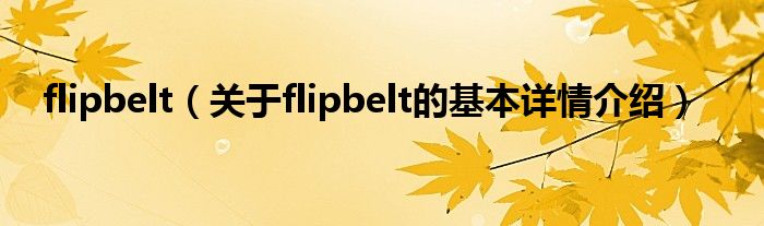 flipbelt（关于flipbelt的基本详情介绍）