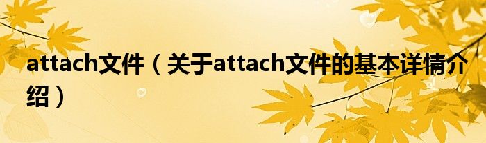 attach文件（关于attach文件的基本详情介绍）
