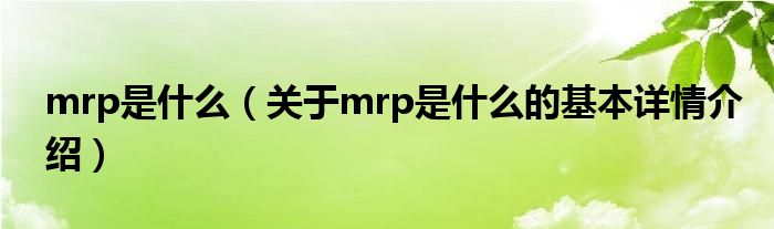 mrp是什么（关于mrp是什么的基本详情介绍）