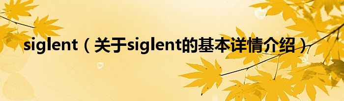 siglent（关于siglent的基本详情介绍）