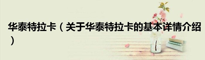 华泰特拉卡（关于华泰特拉卡的基本详情介绍）
