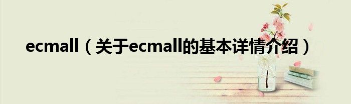 ecmall（关于ecmall的基本详情介绍）