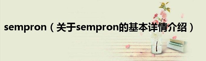 sempron（关于sempron的基本详情介绍）
