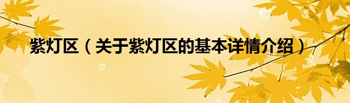 紫灯区（关于紫灯区的基本详情介绍）