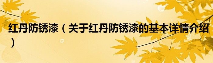 红丹防锈漆（关于红丹防锈漆的基本详情介绍）
