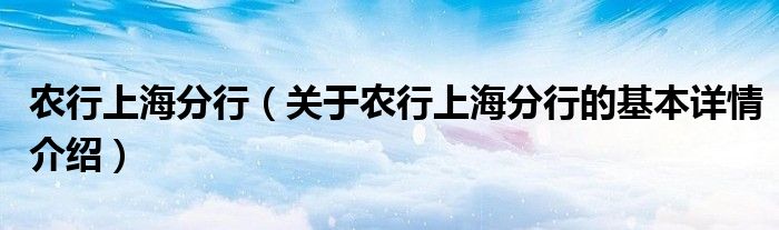 农行上海分行（关于农行上海分行的基本详情介绍）
