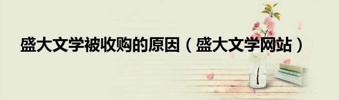 盛大文学被收购的原因（盛大文学网站）