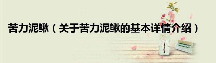 苦力泥鳅（关于苦力泥鳅的基本详情介绍）