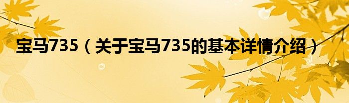 宝马735（关于宝马735的基本详情介绍）
