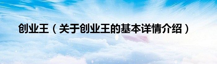 创业王（关于创业王的基本详情介绍）