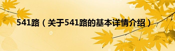 541路（关于541路的基本详情介绍）