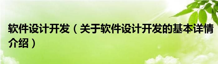 软件设计开发（关于软件设计开发的基本详情介绍）