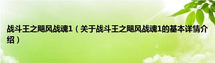 战斗王之飓风战魂1（关于战斗王之飓风战魂1的基本详情介绍）