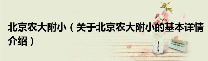 北京农大附小（关于北京农大附小的基本详情介绍）