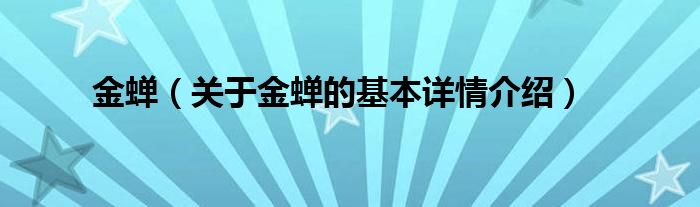 金蝉（关于金蝉的基本详情介绍）