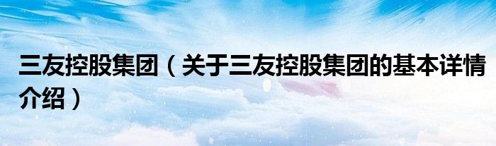 三友控股集团（关于三友控股集团的基本详情介绍）
