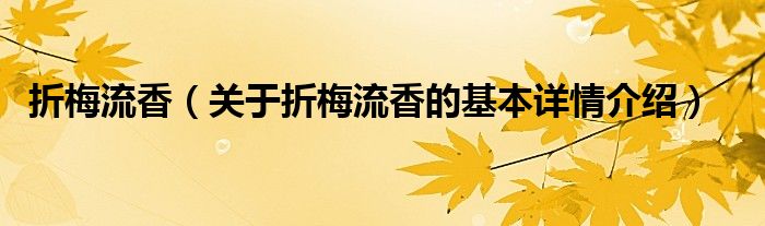 折梅流香（关于折梅流香的基本详情介绍）