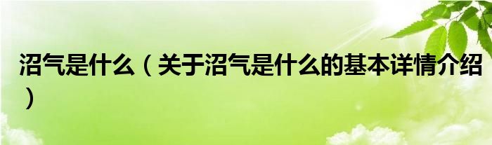 沼气是什么（关于沼气是什么的基本详情介绍）