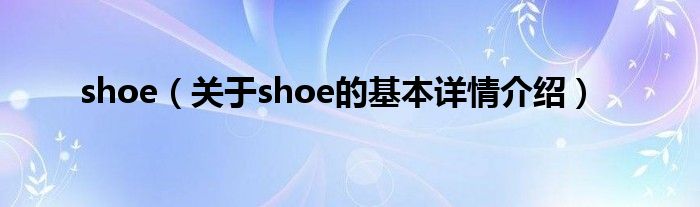 shoe（关于shoe的基本详情介绍）