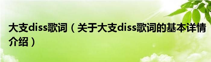 大支diss歌词（关于大支diss歌词的基本详情介绍）