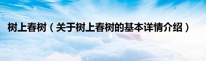 树上春树（关于树上春树的基本详情介绍）