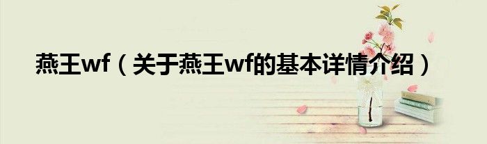 燕王wf（关于燕王wf的基本详情介绍）