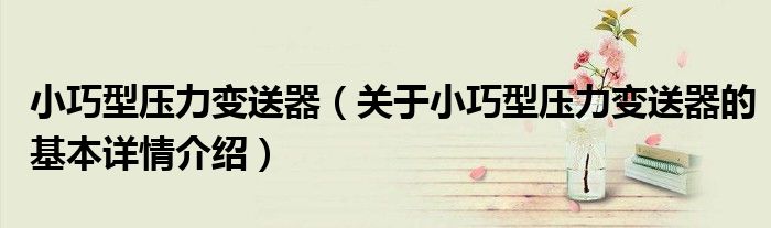 小巧型压力变送器（关于小巧型压力变送器的基本详情介绍）
