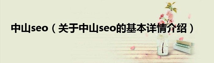 中山seo（关于中山seo的基本详情介绍）