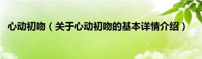 心动初吻（关于心动初吻的基本详情介绍）