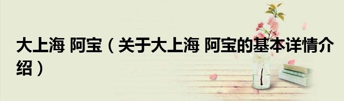 大上海 阿宝（关于大上海 阿宝的基本详情介绍）