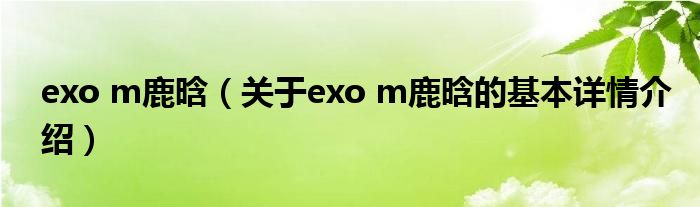 exo m鹿晗（关于exo m鹿晗的基本详情介绍）
