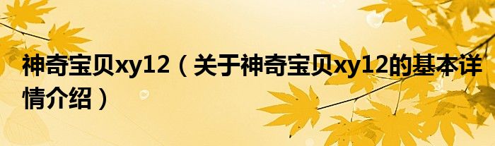 神奇宝贝xy12（关于神奇宝贝xy12的基本详情介绍）