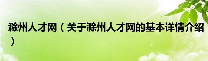 滁州人才网（关于滁州人才网的基本详情介绍）