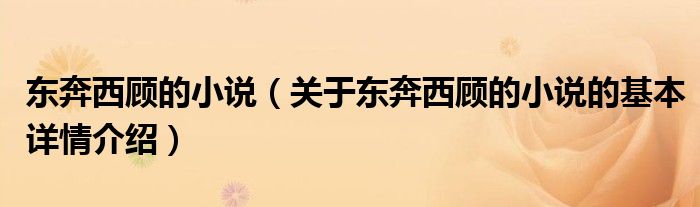 东奔西顾的小说（关于东奔西顾的小说的基本详情介绍）