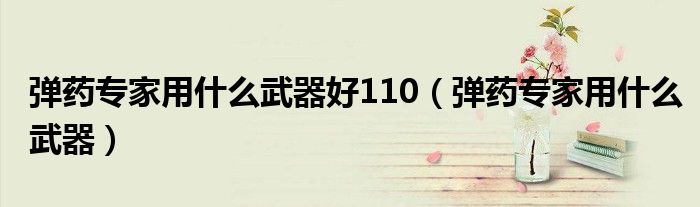 弹药专家用什么武器好110（弹药专家用什么武器）