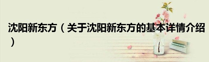 沈阳新东方（关于沈阳新东方的基本详情介绍）